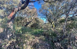 Telti, Sardinia 07020