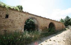 Montefollonico, Tuscany 53049