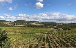 Monteleone d'Orvieto, Umbria 05017