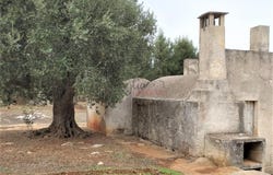 Ceglie Messapica, Apulia 72013
