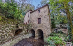 Camaiore, Tuscany 55041