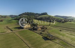 Buonconvento, Tuscany 53022