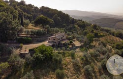 Montalcino, Tuscany 53024