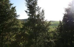 Trequanda, Tuscany 53020