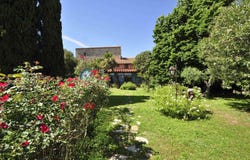 Campiglia Marittima, Tuscany 57021