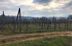 Arezzo, Tuscany 52100