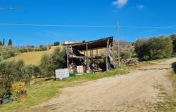 82 SP10, Montefiore dell'Aso, Marche 63062