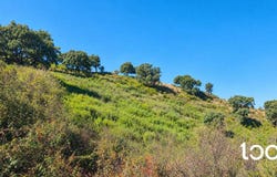 Aggius, Sardinia 07020