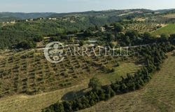Orvieto, Umbria 05018
