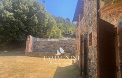 Casole d'Elsa, Tuscany 53031