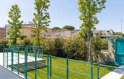 Viareggio, Tuscany 55049