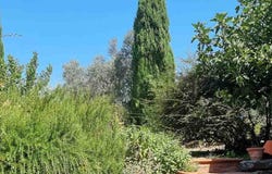 Greve in Chianti, Tuscany 50022