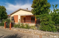 Lucignano, Tuscany 52046