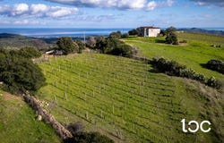 Budoni, Sardinia 08020