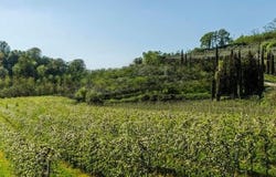 Villore, Tuscany 50039