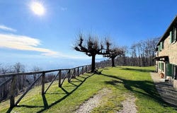 Massa e Cozzile, Tuscany 51010