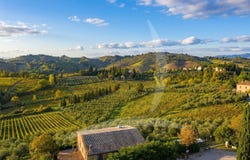 Certaldo, Tuscany 50052