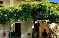 Buonconvento, Tuscany 53022