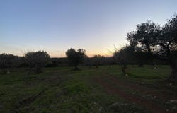 Ceglie Messapica, Apulia 72013