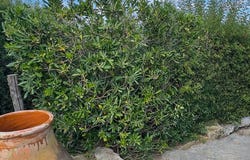 Roccalbegna, Tuscany 58053