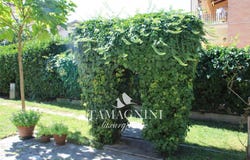Sarteano, Tuscany 53047