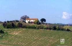 Terricciola, Tuscany 56030