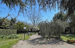 Crespina, Tuscany 56040