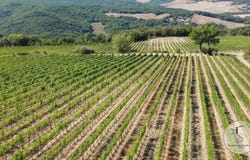 Montalcino, Tuscany 53024