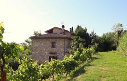 Sarteano, Tuscany 53047