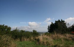 Sarteano, Tuscany 53047