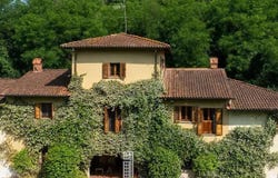 Reggello, Tuscany 50066
