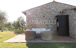 San Gimignano, Tuscany 53037