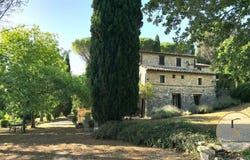 Basques, Umbria 05023