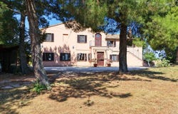 Castelleone di Suasa, Marche 60010