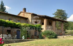 Parrano, Umbria 05010