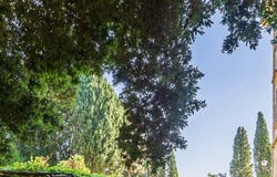 Sassetta, Tuscany 57020