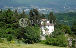 Florence, Tuscany 50136