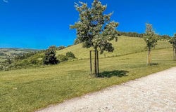 Pomarance, Tuscany 56045