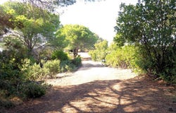 Campo nell'Elba, Tuscany 57034