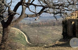 Montepulciano, Tuscany 53045