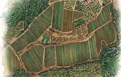 Certaldo, Tuscany 50052