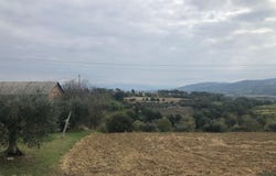 Torgiano, Umbria 06089
