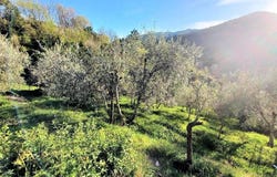 Pescia, Tuscany 51017