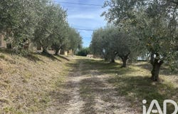 Potenza Picena, Marche 62018