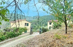 Vinci, Tuscany 50059