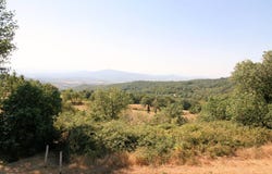 Roccastrada, Tuscany 58036