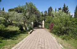 Rosignano Marittimo, Tuscany 57016