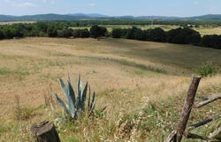 Gavorrano, Tuscany 58027