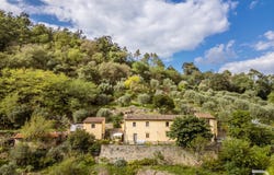 Lamporecchio, Lamporecchio, Tuscany 51035