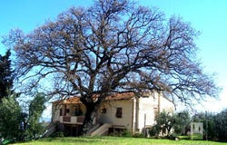 Terricciola, Tuscany 56030